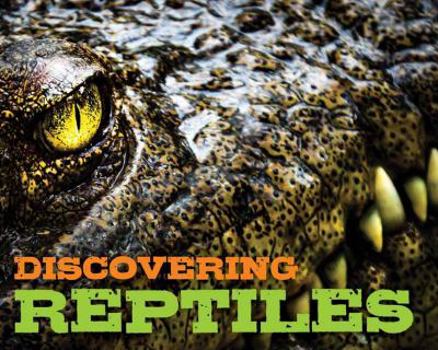 Hardcover Discovering Reptiles Handbook Book