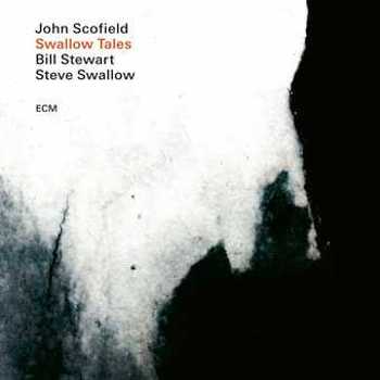 Vinyl Swallow Tales (LP) Book