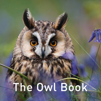 Hardcover The Owl Book