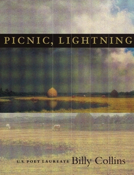 Hardcover Picnic, Lightning Book