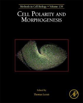 Hardcover Cell Polarity and Morphogenesis: Volume 139 Book