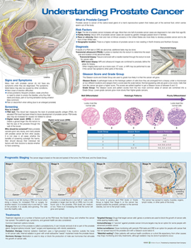 Misc. Understanding Prostate Cancer Anatomical Chart Book