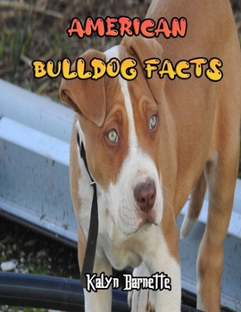 American Bulldog Facts: AMERICAN BULLDOG fact for girl age 1-10 AMERICAN BULLDOG fact for boy age 1-10 facts about all about AMERICAN BULLDOG