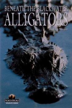 Paperback Alligators: Beneath the Blackwater Book