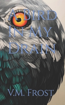Paperback A Bird In My Drain Book