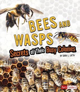 Hardcover Bees and Wasps: Secrets of Their Busy Colonies Book