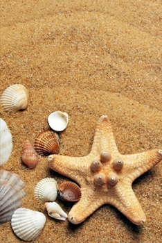 Journal: Sea Shells I