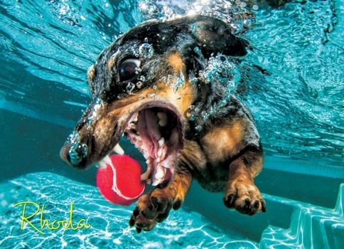 Misc. Underwater Dogs: Rhoda 1000-Piece Puzzle Book