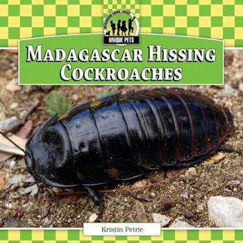 Library Binding Madagascar Hissing Cockroaches Book