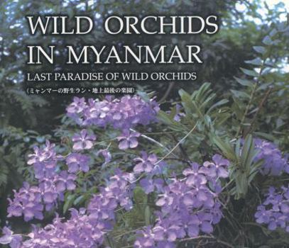 Hardcover Wild Orchids in Myanmar Vol. 1: Last Paradise of Wild Orchids Book
