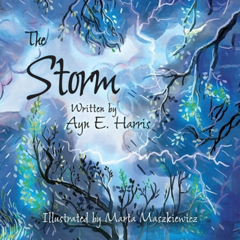 Paperback The Storm Book