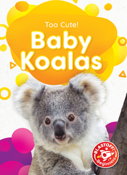 Library Binding Baby Koalas Book