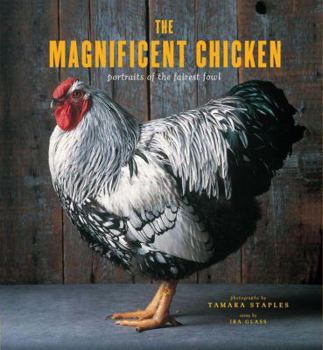 Hardcover The Magnificent Chicken: Portraits of the Fairest Fowl Book