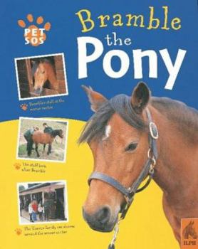 Hardcover Pony (Pet SOS) Book