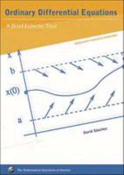 Paperback Ordinary Differential Equations: A Brief Eclectic Tour Book