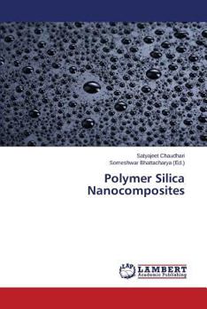 Paperback Polymer Silica Nanocomposites Book