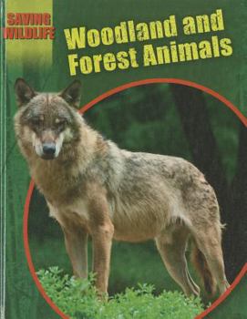 Library Binding Woodland and Forest Animals Book