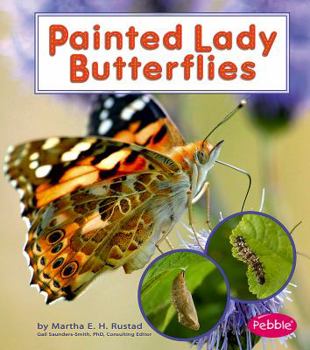Hardcover Painted Lady Butterflies Book