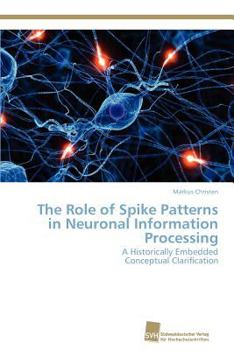 Paperback The Role of Spike Patterns in Neuronal Information Processing Book