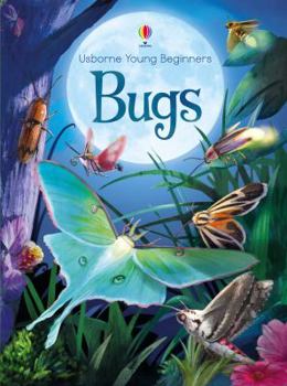 Hardcover Bugs (Young Beginners) Book