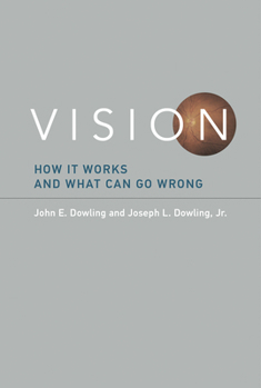 Paperback Vision: How It Works and What Can Go Wrong Book