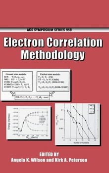 Hardcover Electron Correlation Methodology Book