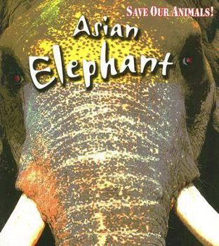 Asian Elephant (Heinemann First Library) - Book  of the Save Our Animals!
