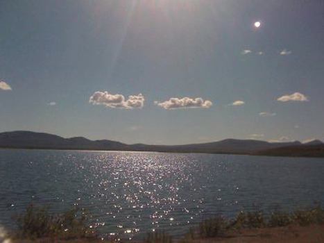 Paperback Life in a Dream Book