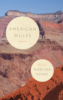Paperback American Mules Book