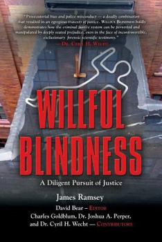 Paperback Willful Blindness: A Diligent Pursuit of Justice Book