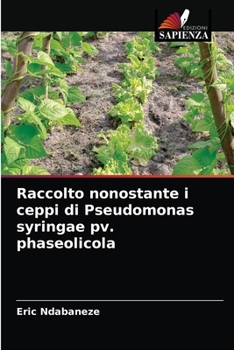 Paperback Raccolto nonostante i ceppi di Pseudomonas syringae pv. phaseolicola [Italian] Book