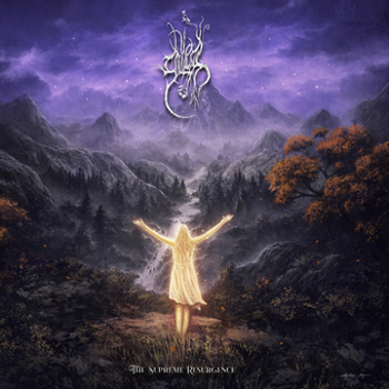 Vinyl The Supreme Resurgence Book