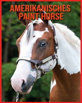 Amerikanisches Paint Horse: Kinderbuch der lustigen Fakten & erstaunliche Fotos