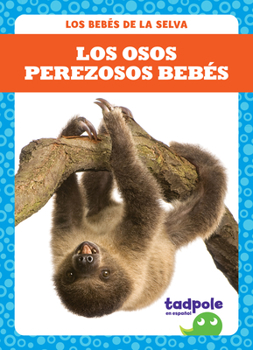 Paperback Los Osos Perezosos Bebés (Sloth Babies) Book