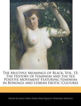 The Multiple Meanings of Black, Vol. 15 : The History of Feminism and the Sex Positive Movement Featuring Feminism in Bondage and Lesbian Erotic Cultur