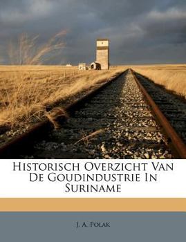 Paperback Historisch Overzicht Van de Goudindustrie in Suriname [Dutch] Book