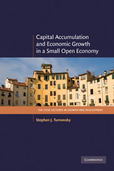 Paperback Capital Accumulation and Economic Growth in a Small Open Economy Book