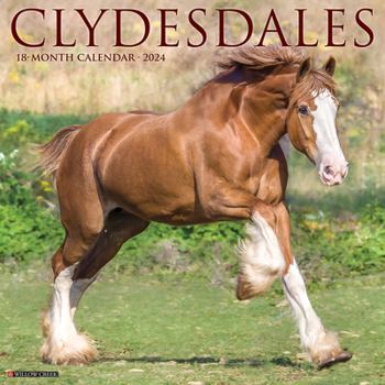 Calendar Clydesdales 2024 12 X 12 Wall Calendar Book
