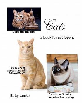 Cats: Enjoying our feline friends