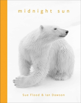 Hardcover Midnight Sun Book