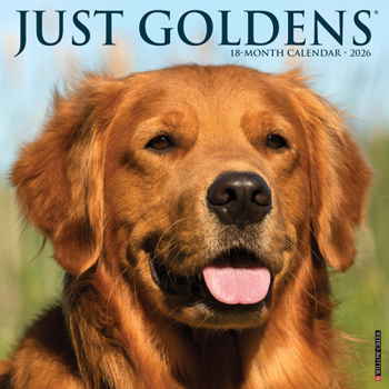 Calendar Goldens 2026 Wall Calendar Book