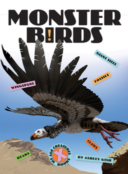 Paperback Monster Birds Book