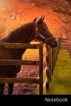 Paperback Notebook: Caballo Cuaderno - Diario - Libro de escritura - Notas - 6 x 9 (15.24 x 22.86 cm), 110 p?ginas, superficie brillante. Book