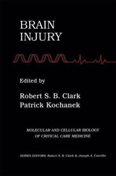 Paperback Brain Injury Book
