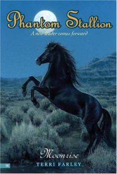 Moonrise (Phantom Stallion, #14) - Book #14 of the Phantom Stallion