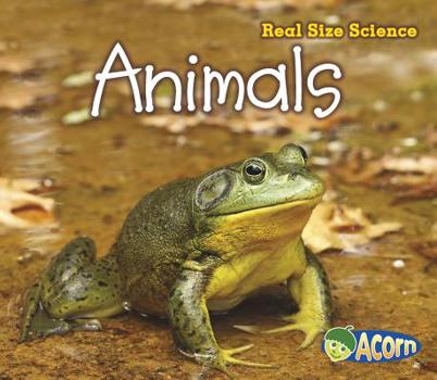 Animals - Book  of the Real Size Science