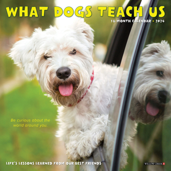 Calendar What Dogs Teach Us 2024 7 X 7 Mini Wall Calendar Book