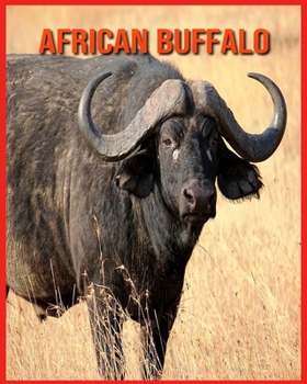 Paperback African Buffalo: Amazing Facts about African Buffalo Book