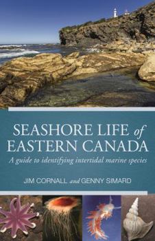 Paperback Seashore Life of Eastern Canada: A Guide to Identifying Intertidal Marine Species Book