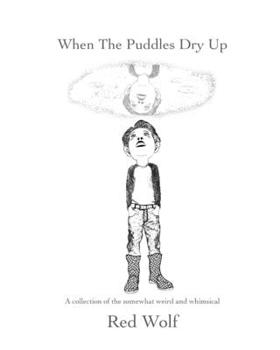 Paperback When The Puddles Dry Up Book